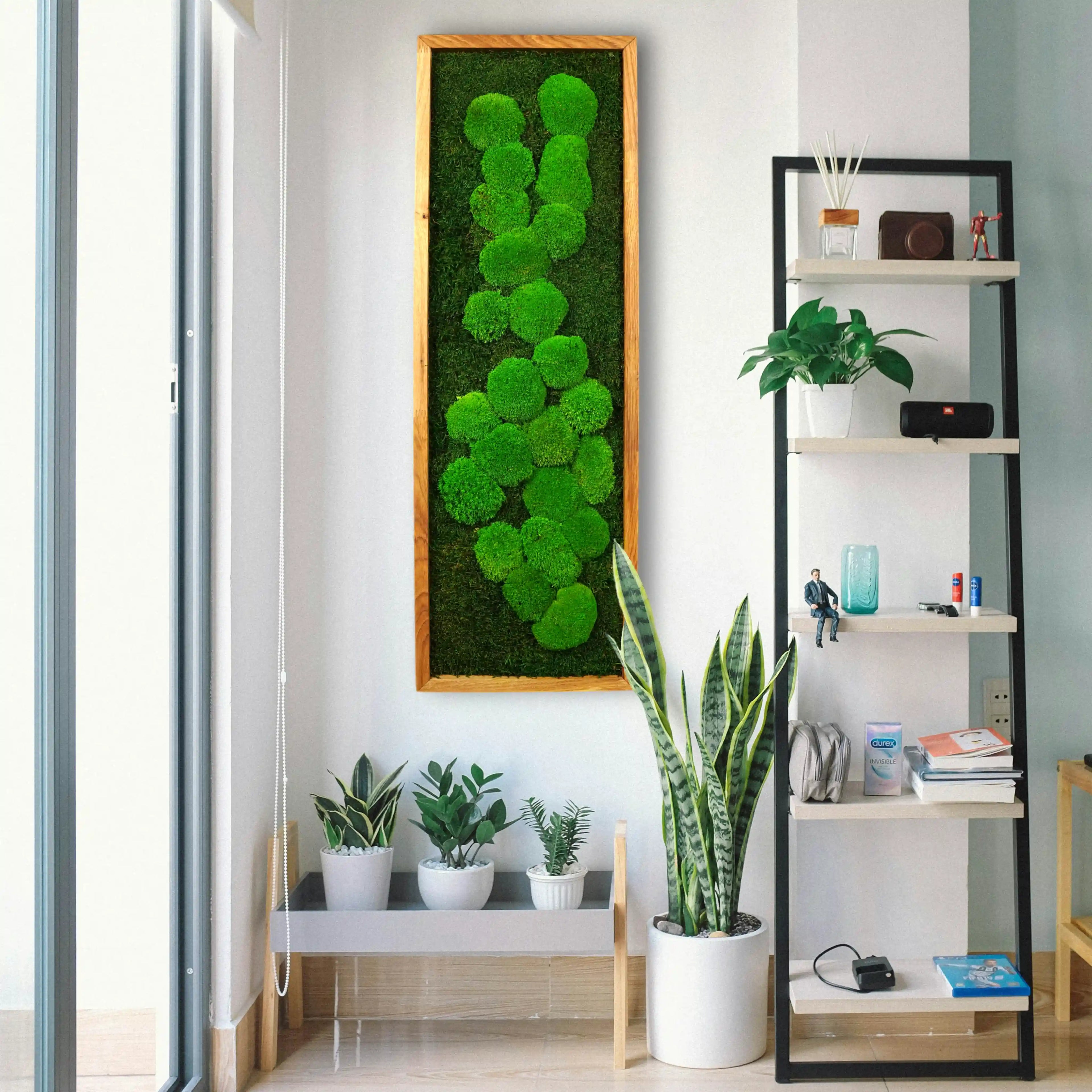 Handgemachtes einfaches Moosbild „Abstract“ in einem Holzrahmen - kunstvolle Wanddekoration aus grünen Moosen an einer weißen Wand umgeben von Pflanzen - Frontansicht.