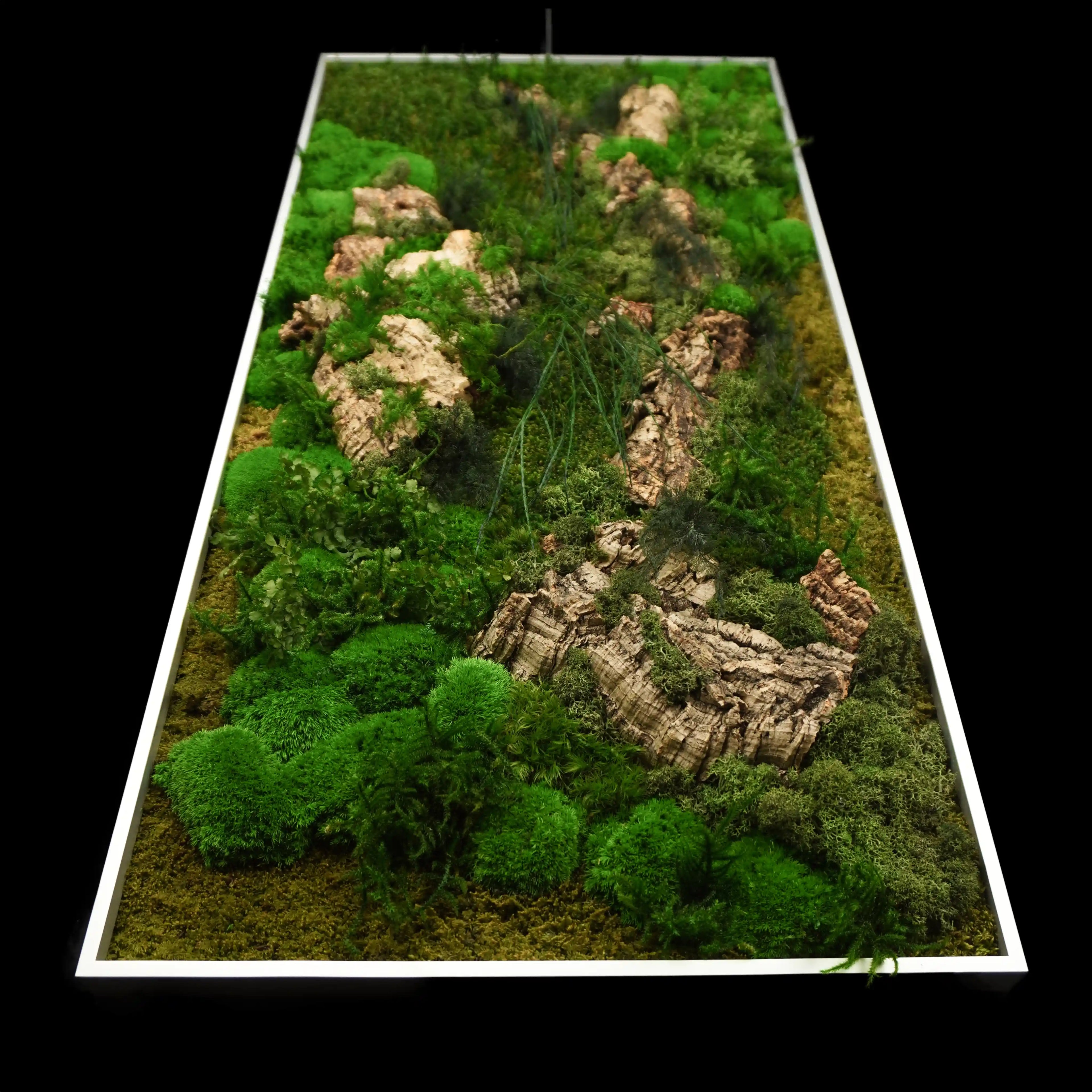 Aufwendig gestaltetes Moosbild mit dem Namen „Canyon“ in einem silberfarbenen Rahmen - eine kunstvolle Wanddekoration aus grünen Moosen, Pflanzen und Kork - Ansicht von unten.