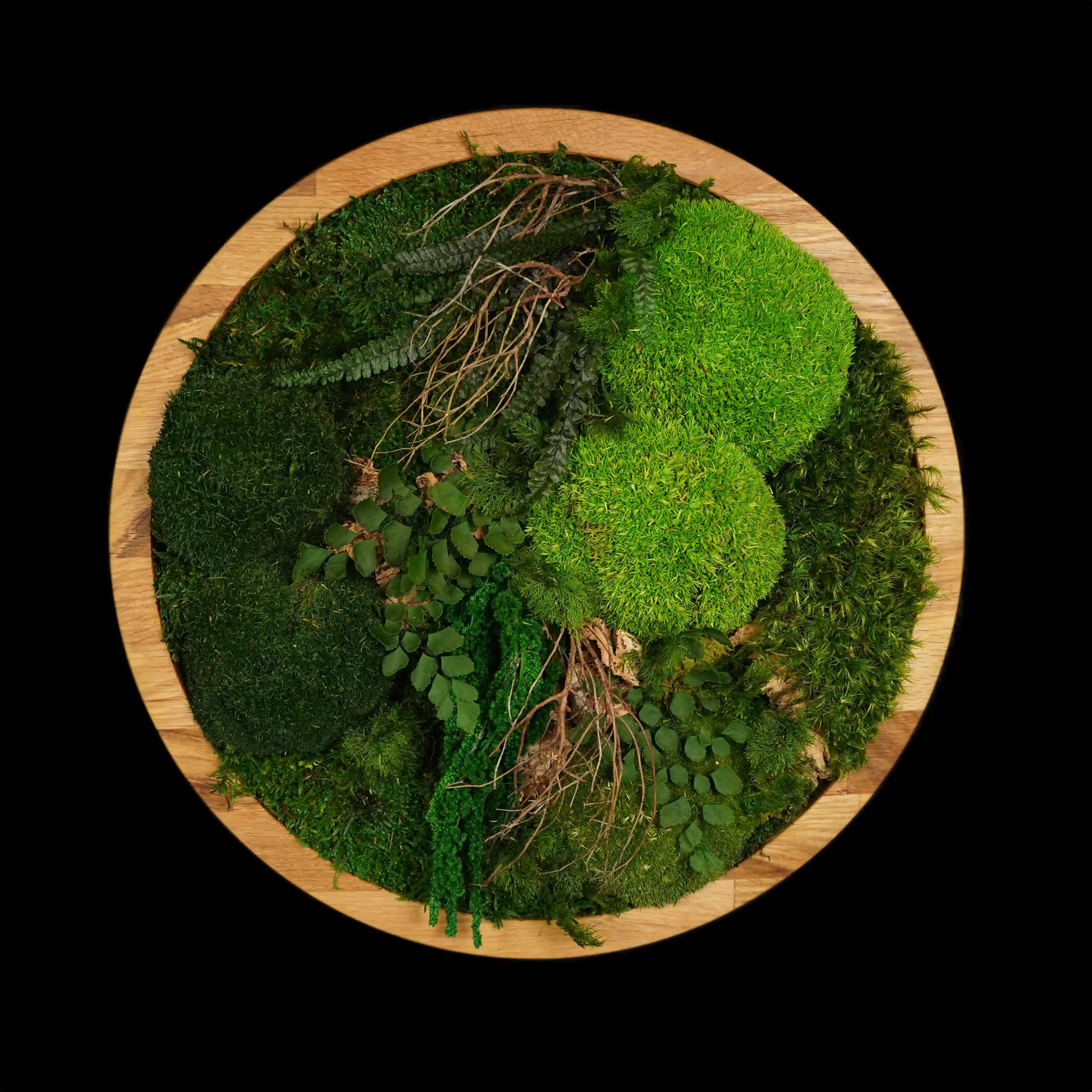 Handgemachtes Moosbild „Circle“ in einem runden Holzrahmen - stilvolle Wanddekoration aus stabilisierten grünen Moosen und Pflanzen für moderne Innenräume - Frontansicht.