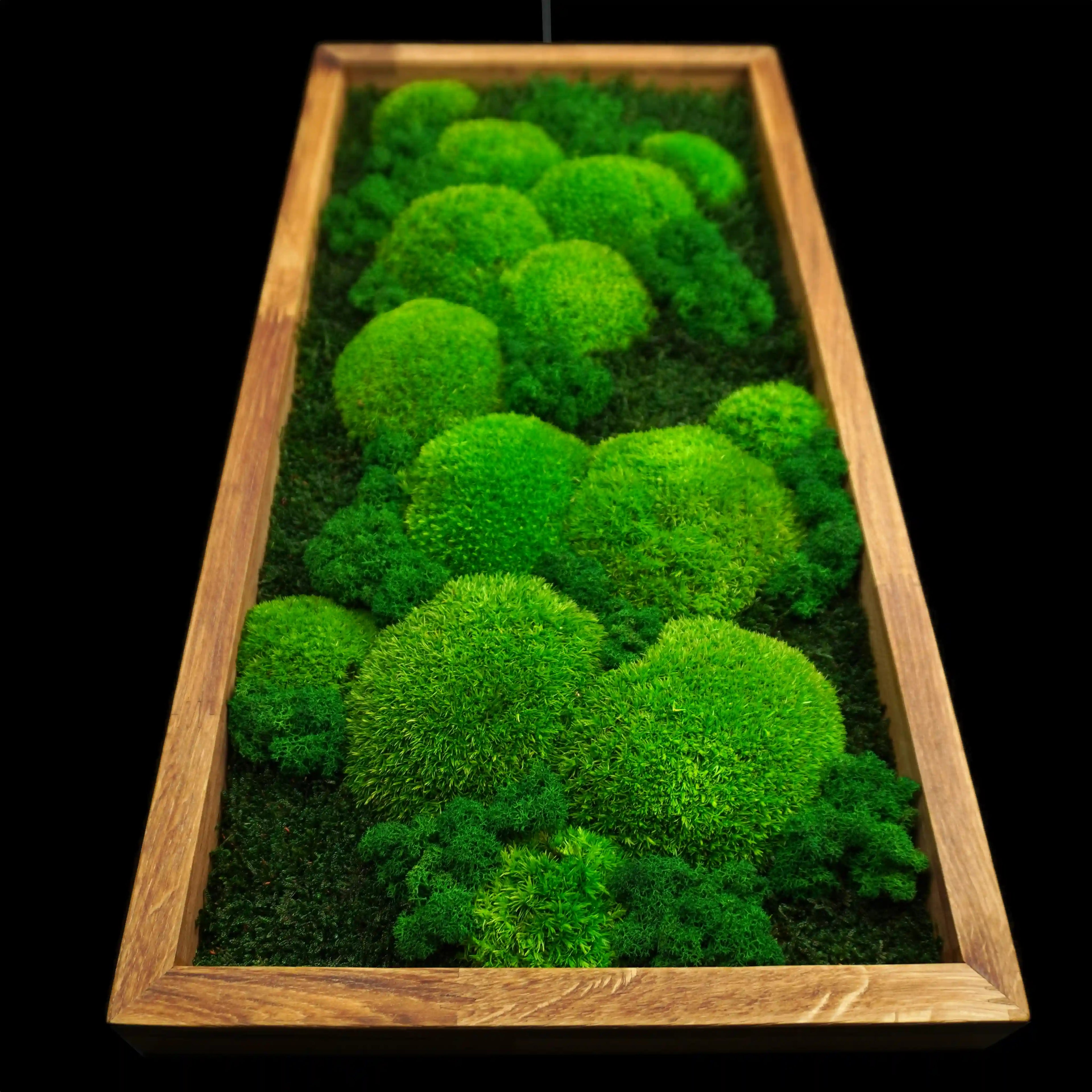 Handgemachtes Moosbild „Growth“ in einem Holzrahmen - minimalistische Wanddekoration aus grünen Moosen für moderne Innenräume und Büros - Ansicht von unten.