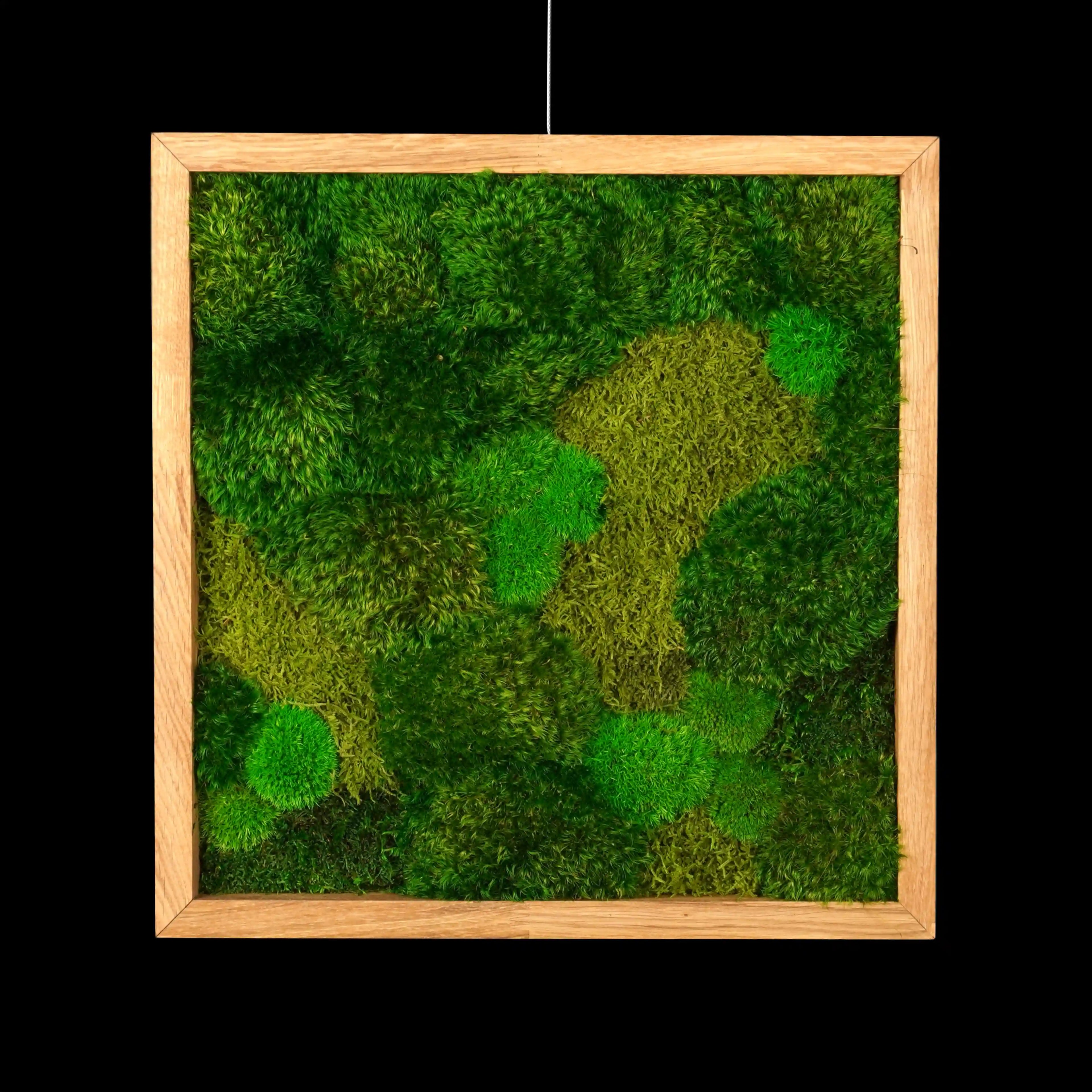 Handgefertigtes Moosbild „Hills & Valleys“ in einem Holzrahmen - eine kunstvolle Wanddekoration aus echten Moosen in verschiedenen Grüntönen, ein Stück Natur für jede Wohnung - Frontansicht.