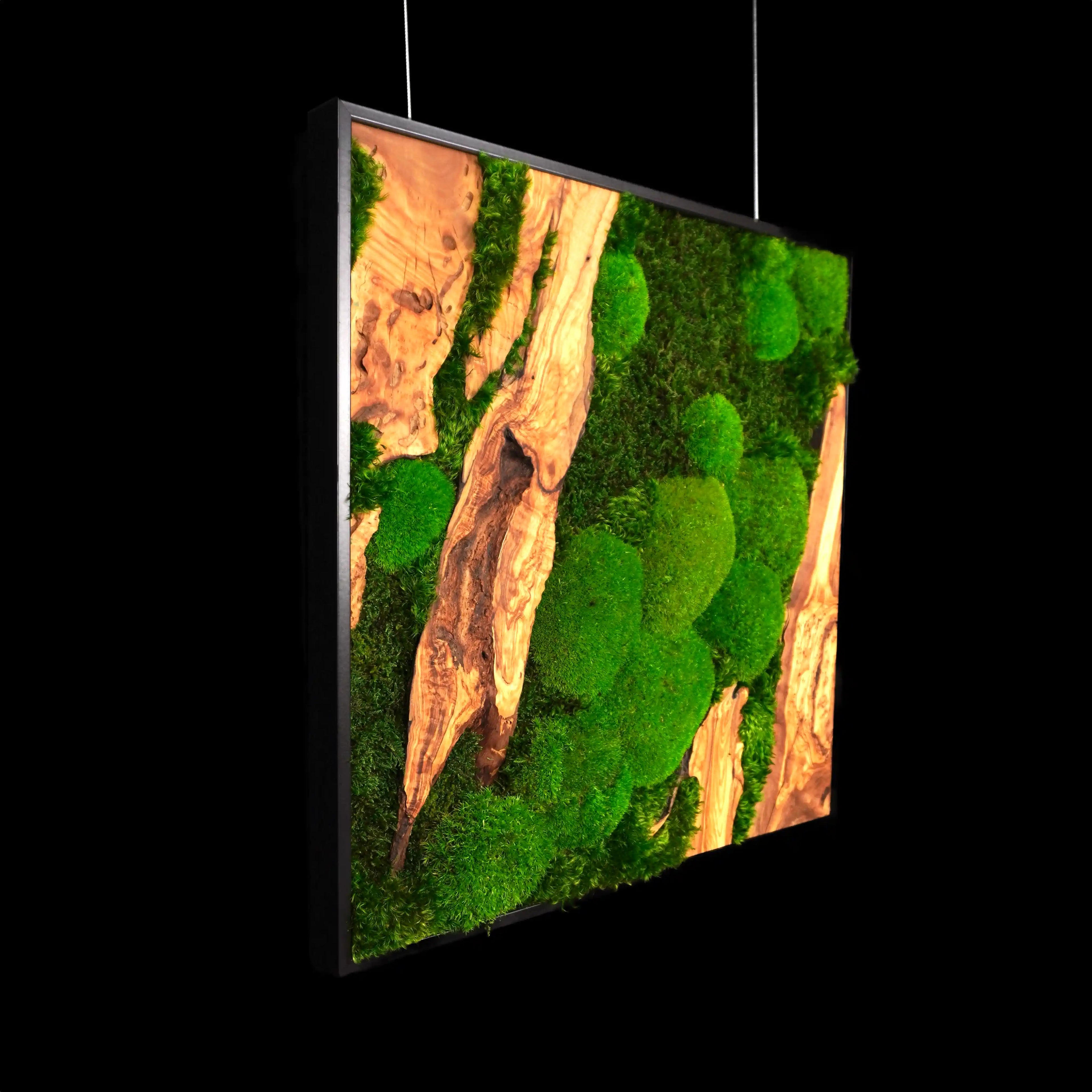 Handgemachtes Moosbild „Olive quadratisch“ in einem schwarzen Rahmen - eine stilvolle Wanddekoration aus grünen Moosen und edlem Olivenholz für eine natürliche Inneneinrichtung - Seitenansicht.