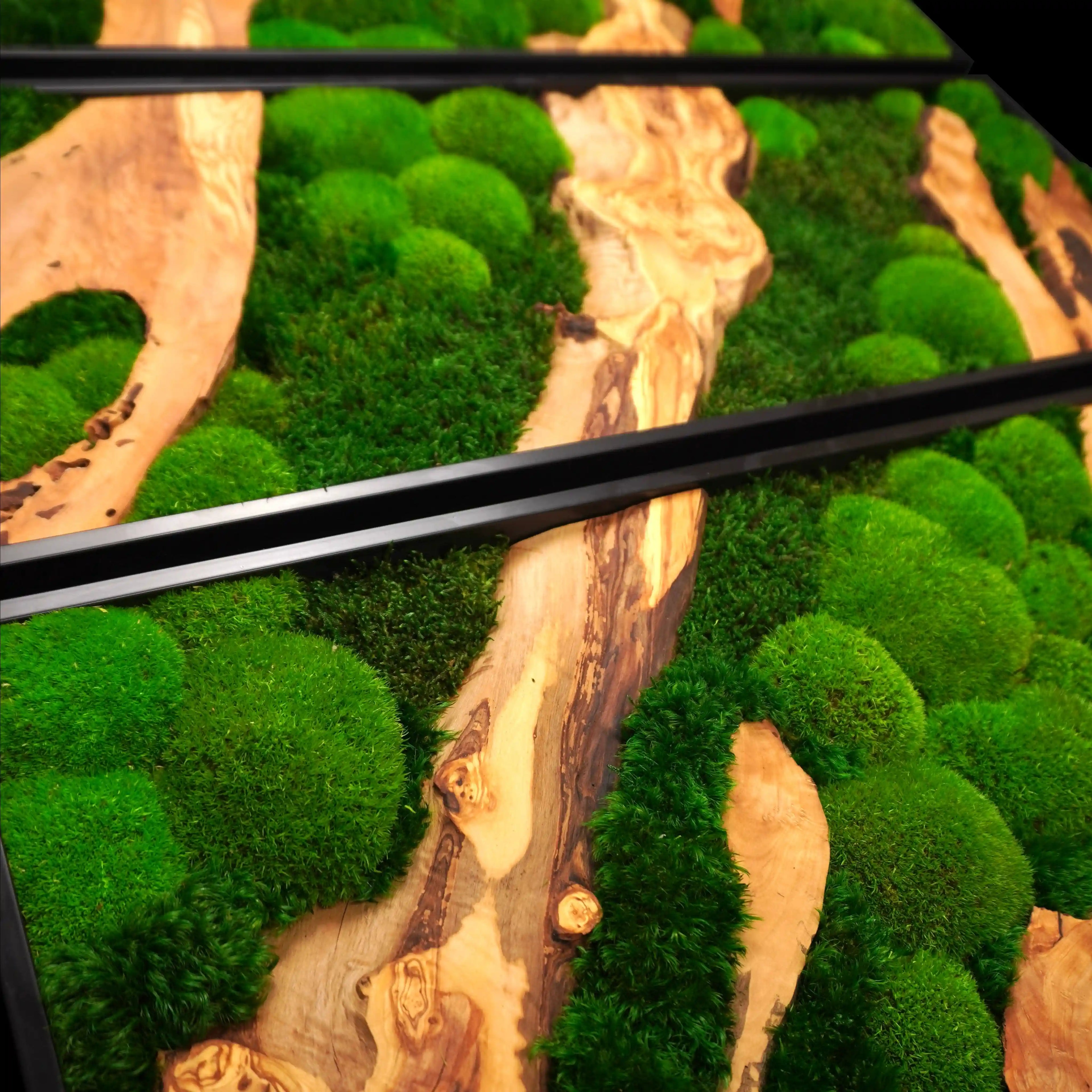 Dreiteiliges Moosbild „Olive Veins“ in schwarzen Aluminiumrahmen - eine hochwertige Wanddekoration aus echten Moosen und natürlichem Olivenholz für moderne Wohnräume - Detailansicht.