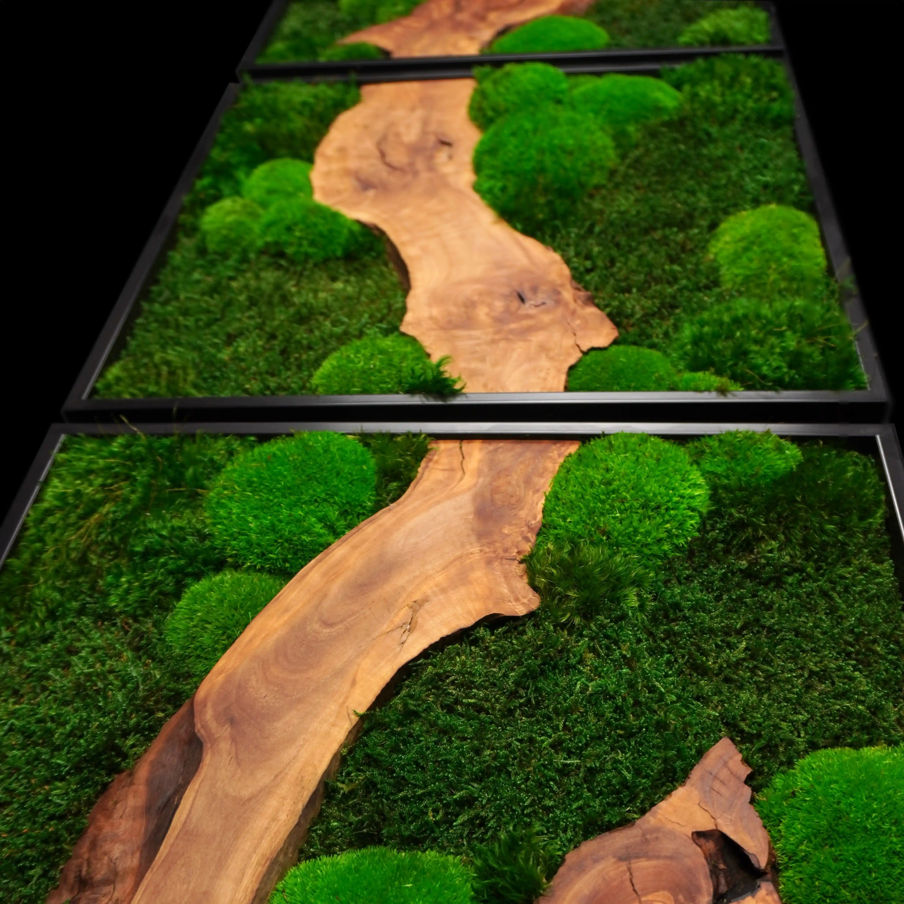 Dreiteiliges Moosbild „Olive Veins quadratisch“ in schwarzen Aluminiumrahmen - eine hochwertige Wanddekoration aus echten Moosen und natürlichen Olivenholz für moderne Wohnräume - Detailansicht.