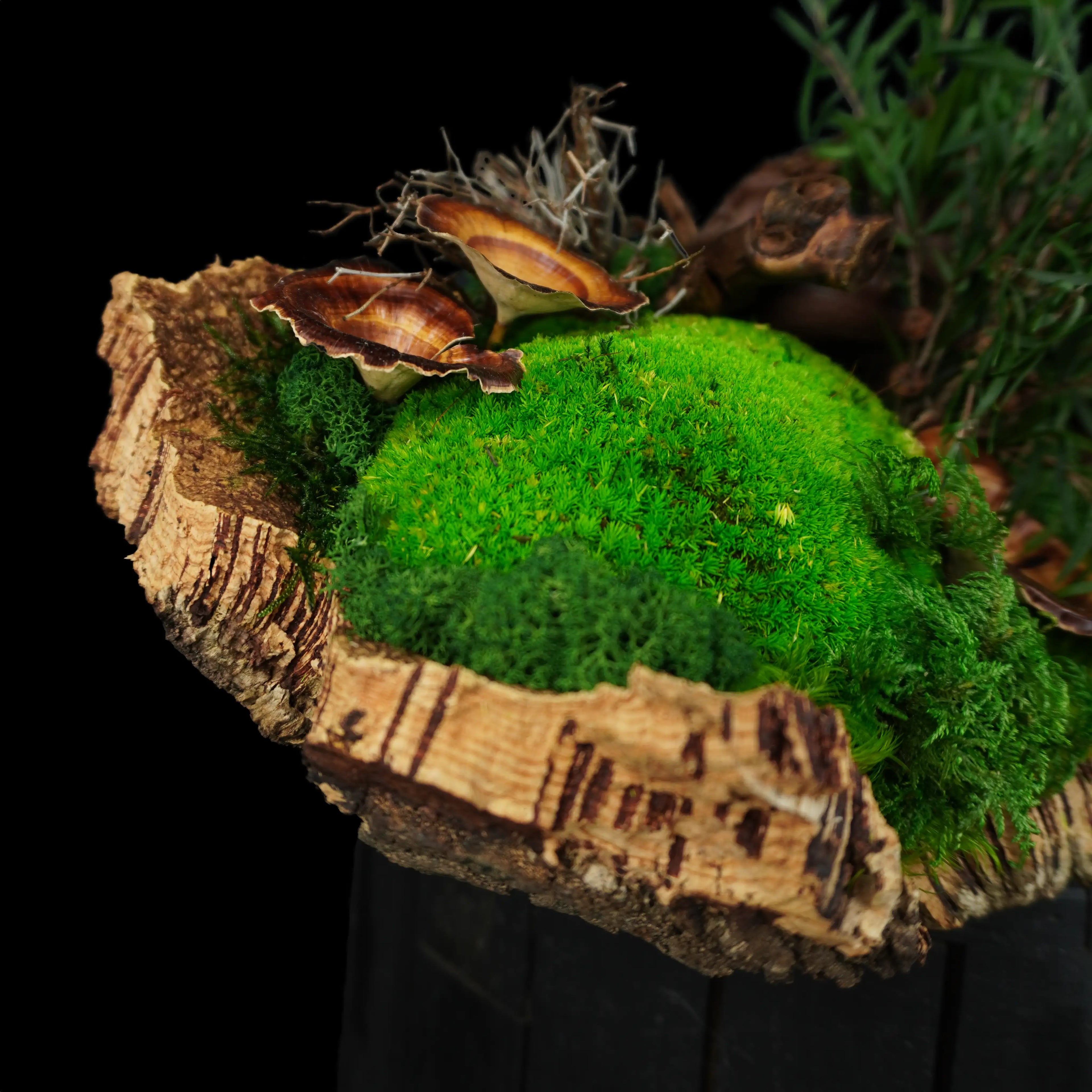 Moosgarten ‚Walden‘ - handgemachte Tischdekoration aus stabilisierten grünen Moosen, Pflanzen und Kork - Detailansicht.