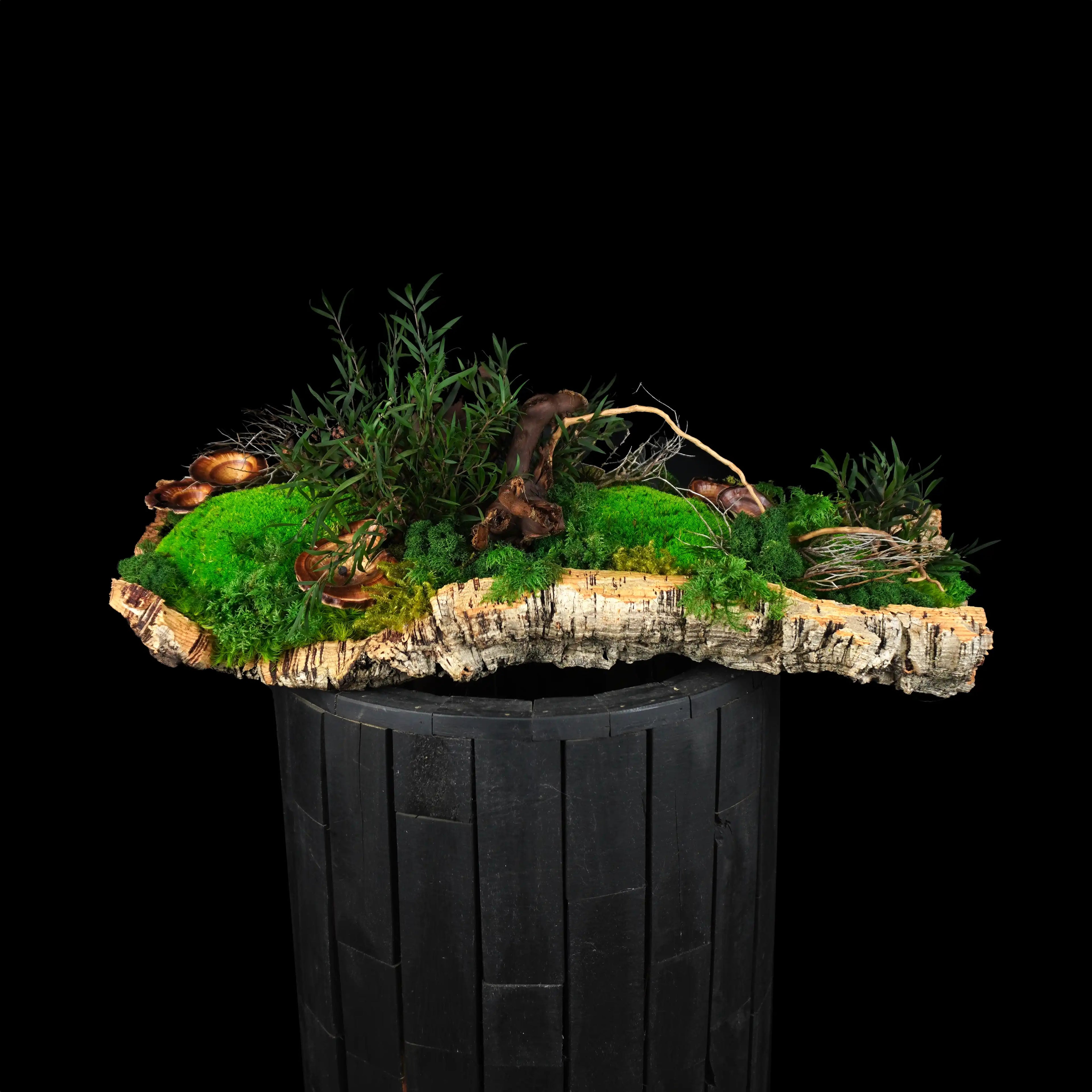 Moosgarten ‚Walden‘ - handgemachte Tischdekoration aus stabilisierten grünen Moosen, Pflanzen und Kork - Frontansicht.