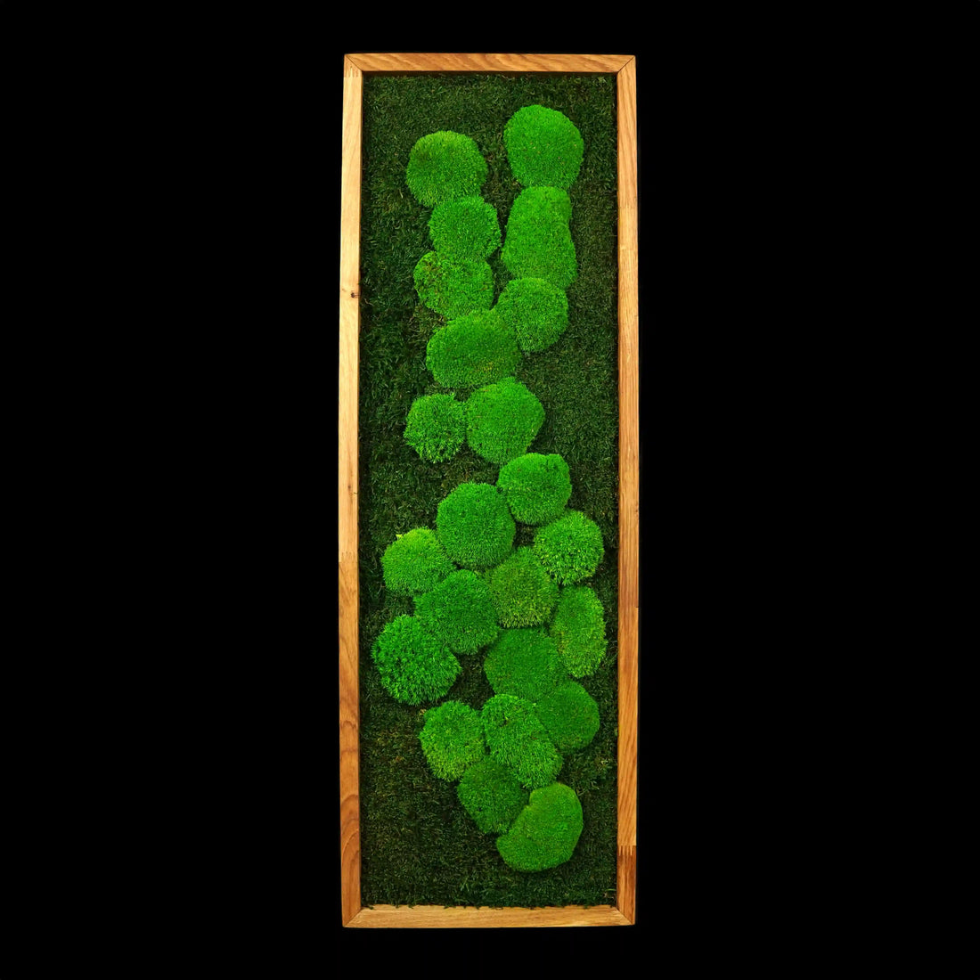 Handgemachtes einfaches Moosbild „Abstract“ in einem Holzrahmen - kunstvolle Wanddekoration aus grünen Moosen für moderne Innenräume - Frontansicht.