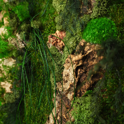 Aufwendig gestaltetes Moosbild mit dem Namen „Canyon“ in einem silberfarbenen Rahmen - eine kunstvolle Wanddekoration aus grünen Moosen, Pflanzen und Kork - Detailansicht.