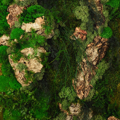 Aufwendig gestaltetes Moosbild mit dem Namen „Canyon“ in einem silberfarbenen Rahmen - eine kunstvolle Wanddekoration aus grünen Moosen, Pflanzen und Kork - Detailansicht.