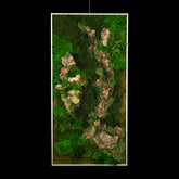 Aufwendig gestaltetes Moosbild mit dem Namen „Canyon“ in einem silberfarbenen Rahmen - eine kunstvolle Wanddekoration aus grünen Moosen, Pflanzen und Kork - Frontansicht.