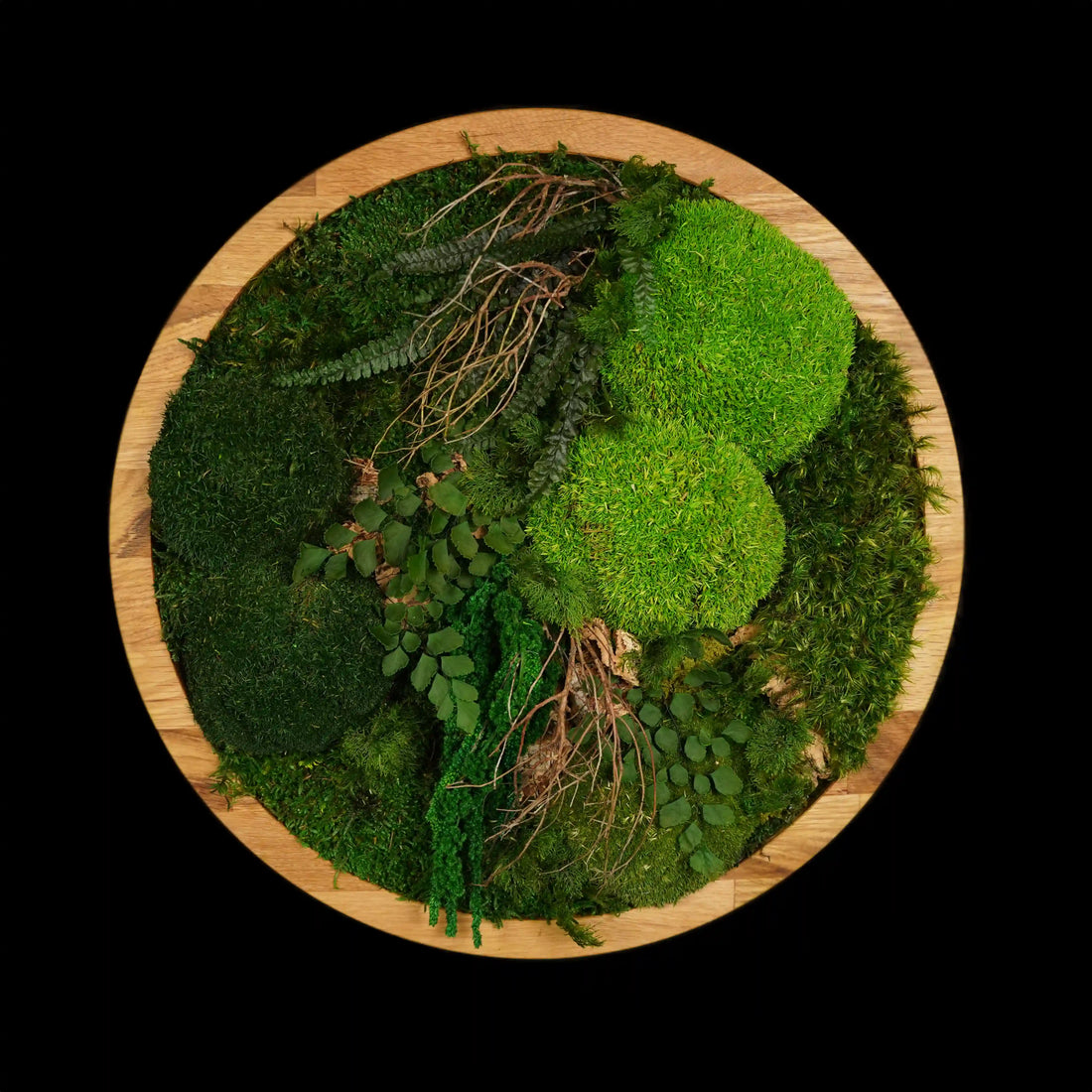 Handgemachtes Moosbild „Circle“ in einem runden Holzrahmen - stilvolle Wanddekoration aus stabilisierten grünen Moosen und Pflanzen für moderne Innenräume - Frontansicht.