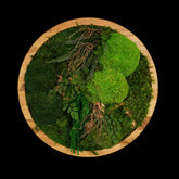 Handgemachtes Moosbild „Circle“ in einem runden Holzrahmen - stilvolle Wanddekoration aus stabilisierten grünen Moosen und Pflanzen für moderne Innenräume - Frontansicht.