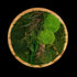 Handgemachtes Moosbild „Circle“ in einem runden Holzrahmen - stilvolle Wanddekoration aus stabilisierten grünen Moosen und Pflanzen für moderne Innenräume - Frontansicht.