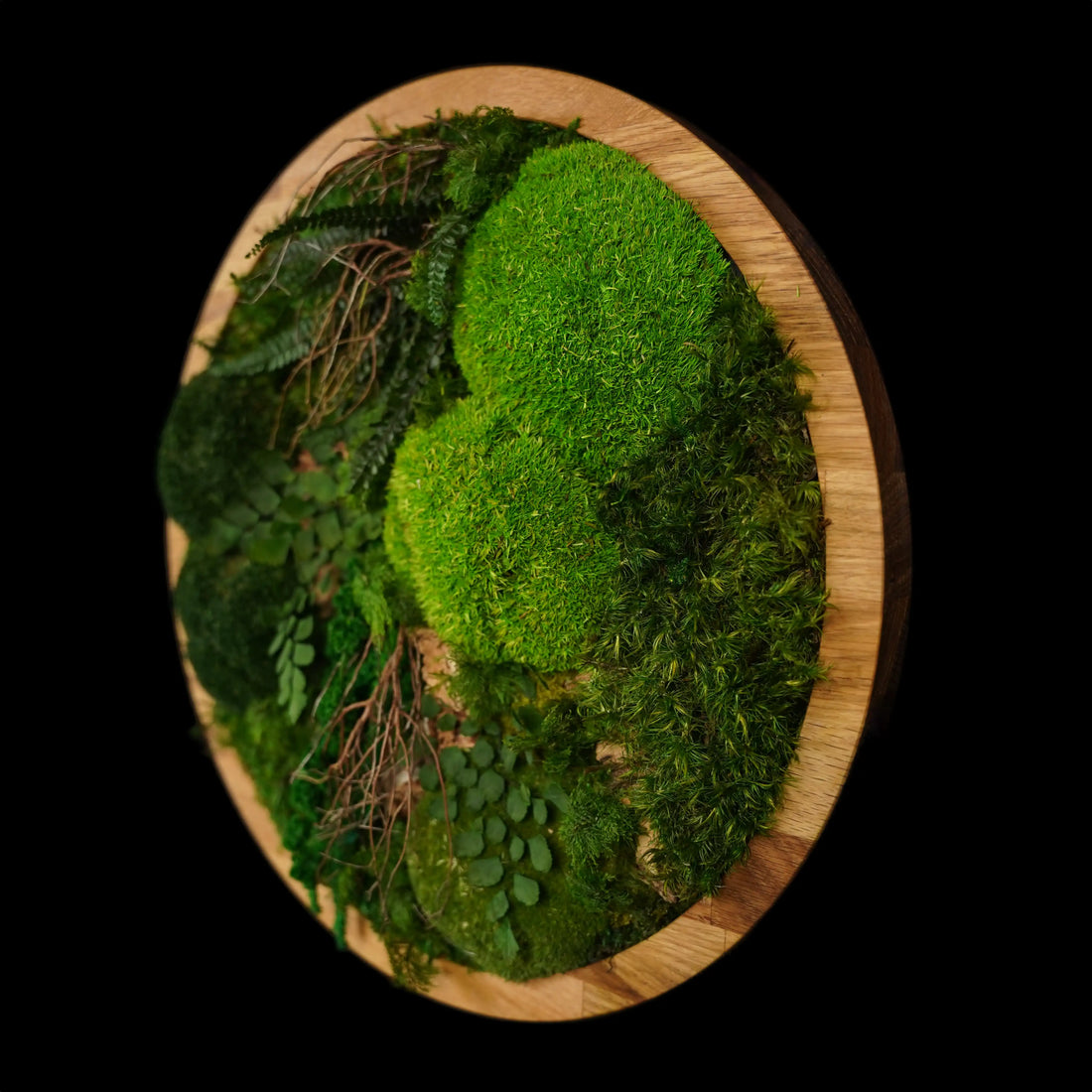 Handgemachtes Moosbild „Circle“ in einem runden Holzrahmen - stilvolle Wanddekoration aus stabilisierten grünen Moosen und Pflanzen für moderne Innenräume - Seitenansicht.