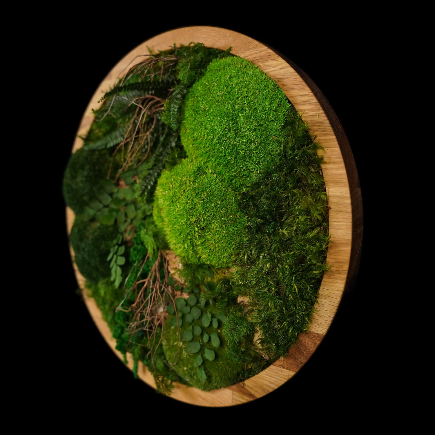 Handgemachtes Moosbild „Circle“ in einem runden Holzrahmen - stilvolle Wanddekoration aus stabilisierten grünen Moosen und Pflanzen für moderne Innenräume - Seitenansicht.
