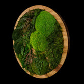 Handgemachtes Moosbild „Circle“ in einem runden Holzrahmen - stilvolle Wanddekoration aus stabilisierten grünen Moosen und Pflanzen für moderne Innenräume - Seitenansicht.