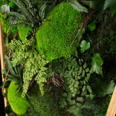 Aufwendig gestaltetes Moosbild „Dawn“ in einem Holzrahmen - eine kunstvolle Wanddekoration aus grünen Moosen und Pflanzen für geschmackvolle Innenräume - Detailansicht.