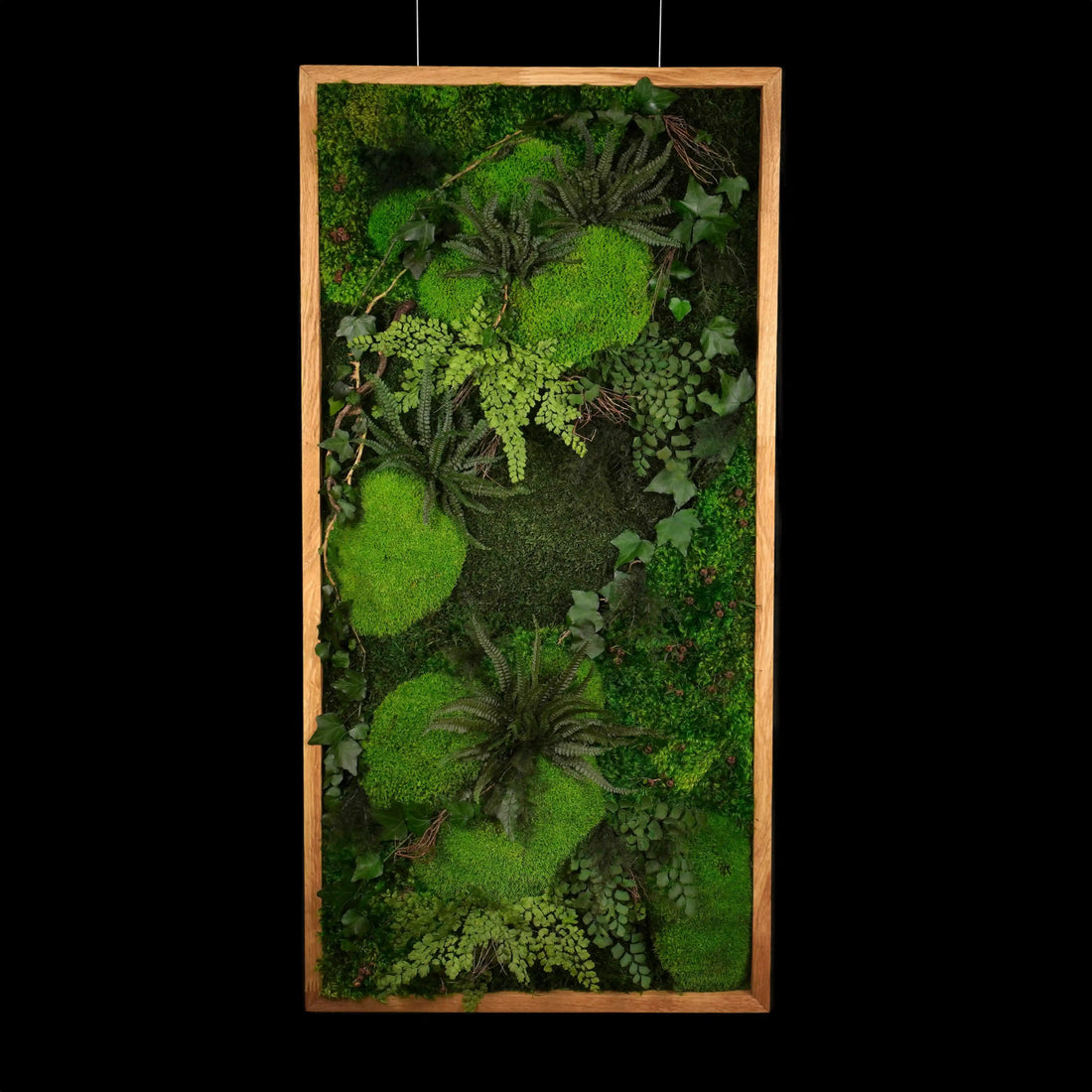 Aufwendig gestaltetes Moosbild „Dawn“ in einem Holzrahmen - eine kunstvolle Wanddekoration aus grünen Moosen und Pflanzen für geschmackvolle Innenräume - Frontansicht.