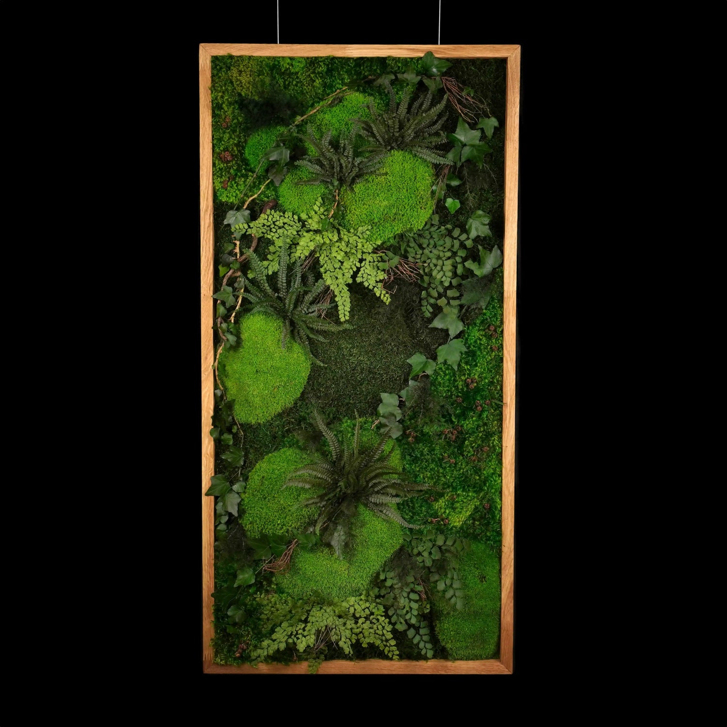 Aufwendig gestaltetes Moosbild „Dawn“ in einem Holzrahmen - eine kunstvolle Wanddekoration aus grünen Moosen und Pflanzen für geschmackvolle Innenräume - Frontansicht.