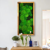 Handgemachtes Moosbild „Growth“ in einem Holzrahmen - minimalistische Wanddekoration aus grünen Moosen an einer weißen Wand in einem hellen, modern eingerichteten Raum. 