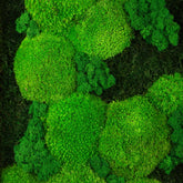 Handgemachtes Moosbild „Growth“ in einem Holzrahmen - minimalistische Wanddekoration aus grünen Moosen für moderne Innenräume und Büros - Detailansicht.