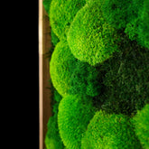 Handgemachtes Moosbild „Growth“ in einem Holzrahmen - minimalistische Wanddekoration aus grünen Moosen für moderne Innenräume und Büros - Detailansicht.
