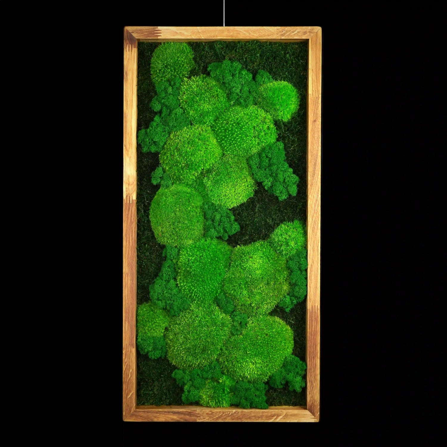 Handgemachtes Moosbild „Growth“ in einem Holzrahmen - minimalistische Wanddekoration aus grünen Moosen für moderne Innenräume und Büros - Frontansicht. 