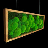 Handgemachtes Moosbild „Growth“ in einem Holzrahmen - minimalistische Wanddekoration aus grünen Moosen für moderne Innenräume und Büros - Seitenansicht. 