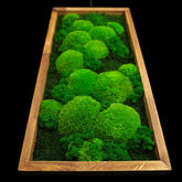 Handgemachtes Moosbild „Growth“ in einem Holzrahmen - minimalistische Wanddekoration aus grünen Moosen für moderne Innenräume und Büros - Ansicht von unten. 