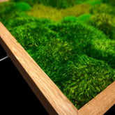 Handgefertigtes Moosbild „Hills & Valleys“ in einem Holzrahmen - eine kunstvolle Wanddekoration aus echten Moosen in verschiedenen Grüntönen, ein Stück Natur für jede Wohnung - Detailansicht.