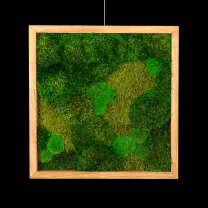Handgefertigtes Moosbild „Hills &amp; Valleys“ in einem Holzrahmen - eine kunstvolle Wanddekoration aus echten Moosen in verschiedenen Grüntönen, ein Stück Natur für jede Wohnung - Frontansicht.