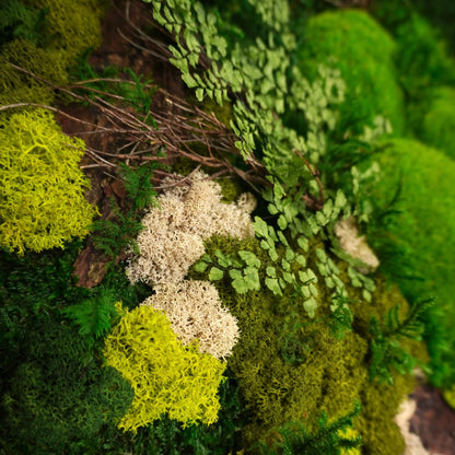 Detailreich dekoriertes Moosbild „Landscape“ in einem Holzrahmen - eine farbenfrohe Wanddekoration aus Moosen und verschiedenen Pflanzen für moderne Innenräume - Detailansicht.