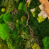Detailreich dekoriertes Moosbild „Landscape“ in einem Holzrahmen - eine farbenfrohe Wanddekoration aus Moosen und verschiedenen Pflanzen für moderne Innenräume - Detailansicht.