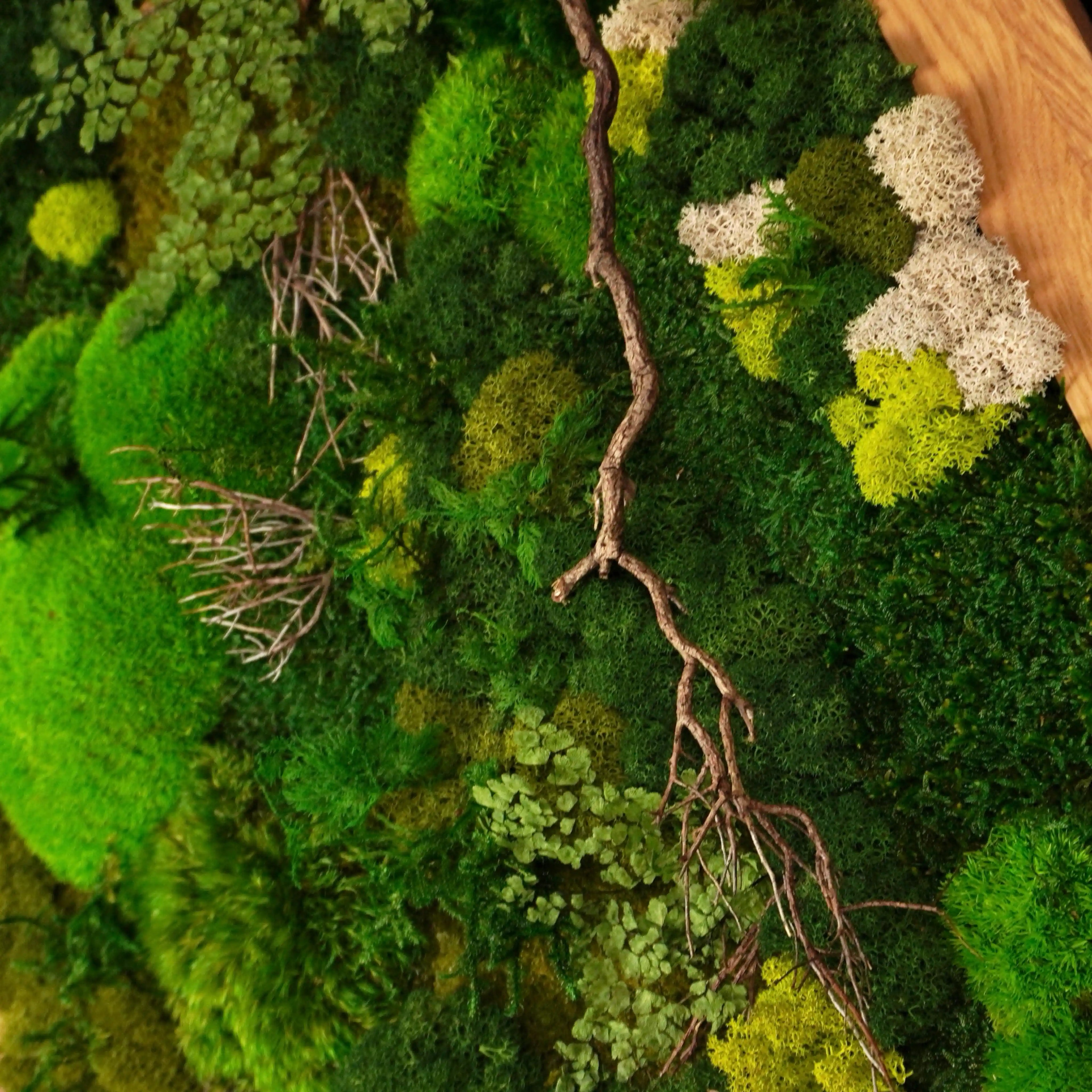 Detailreich dekoriertes Moosbild „Landscape“ in einem Holzrahmen - eine farbenfrohe Wanddekoration aus Moosen und verschiedenen Pflanzen für moderne Innenräume - Detailansicht.