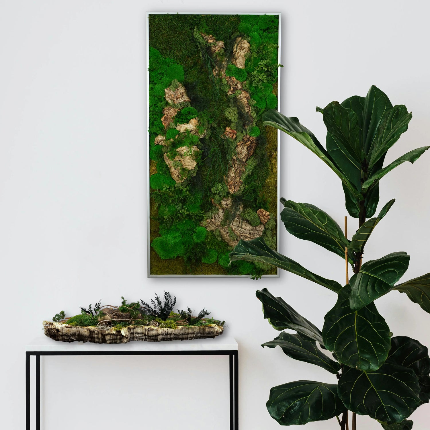 Zwei Rueberg-Produkte in einem hellen Raum, darunter ein Moosbild und ein Moosgarten auf Korkbasis neben einer grünen Pflanze.