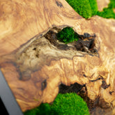 Handgemachtes Moosbild mit dem Namen „Olive“ in einem schwarzen Rahmen - eine kunstvolle Wanddekoration aus grünen Moosen und edlem Holz - Detailansicht.