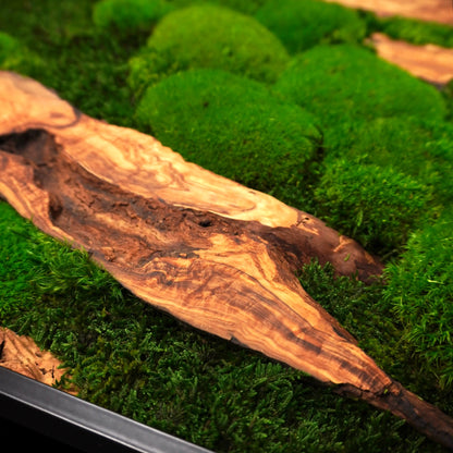 Handgemachtes Moosbild „Olive quadratisch“ in einem schwarzen Rahmen - eine stilvolle Wanddekoration aus grünen Moosen und edlem Olivenholz für eine natürliche Inneneinrichtung - Detailansicht.