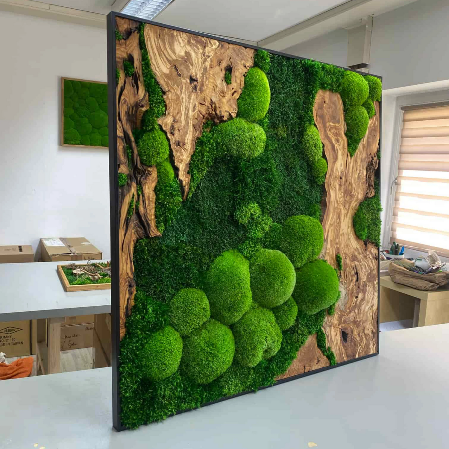 Sehr große Moosbild-Sonderanfertigung mit grünen Moosen und edlem Olivenholz in einem quadratischen Format. 