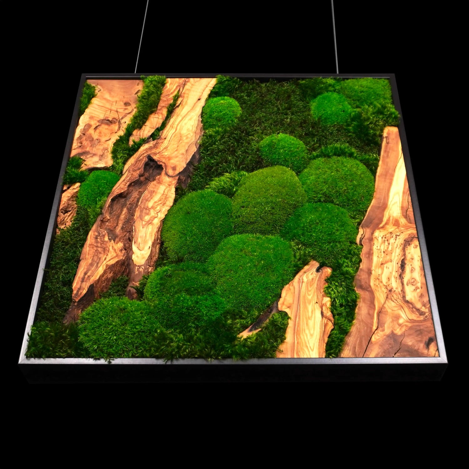 Handgemachtes Moosbild „Olive quadratisch“ in einem schwarzen Rahmen - eine stilvolle Wanddekoration aus grünen Moosen und edlem Olivenholz für eine natürliche Inneneinrichtung - Ansicht von unten.