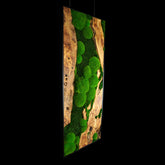 Handgemachtes Moosbild mit dem Namen „Olive“ in einem schwarzen Rahmen - eine kunstvolle Wanddekoration aus grünen Moosen und edlem Holz - Seitenansicht.