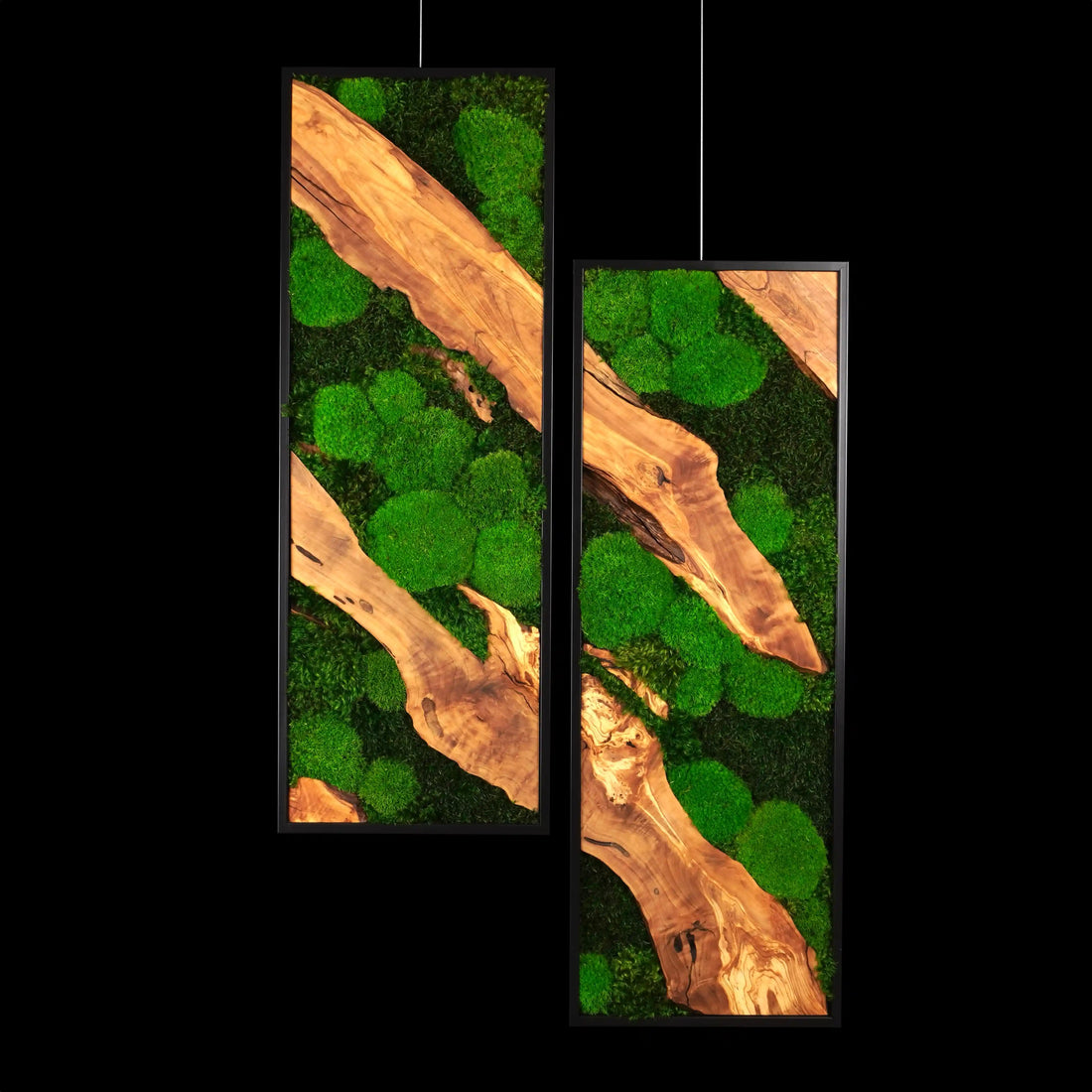 Zweiteiliges Moosbild „Olive Shift“ in schwarzen Rahmen - eine hochwertige Wanddekoration aus grünen Moosen und edlem Olivenholz für moderne Innenräume - Frontansicht.
