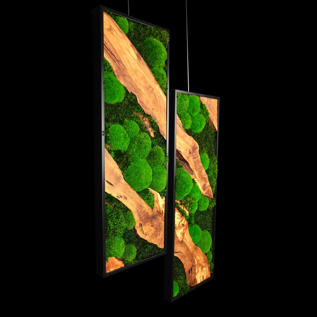 Zweiteiliges Moosbild „Olive Shift“ in schwarzen Rahmen - eine hochwertige Wanddekoration aus grünen Moosen und edlem Olivenholz für moderne Innenräume - Seitenansicht.