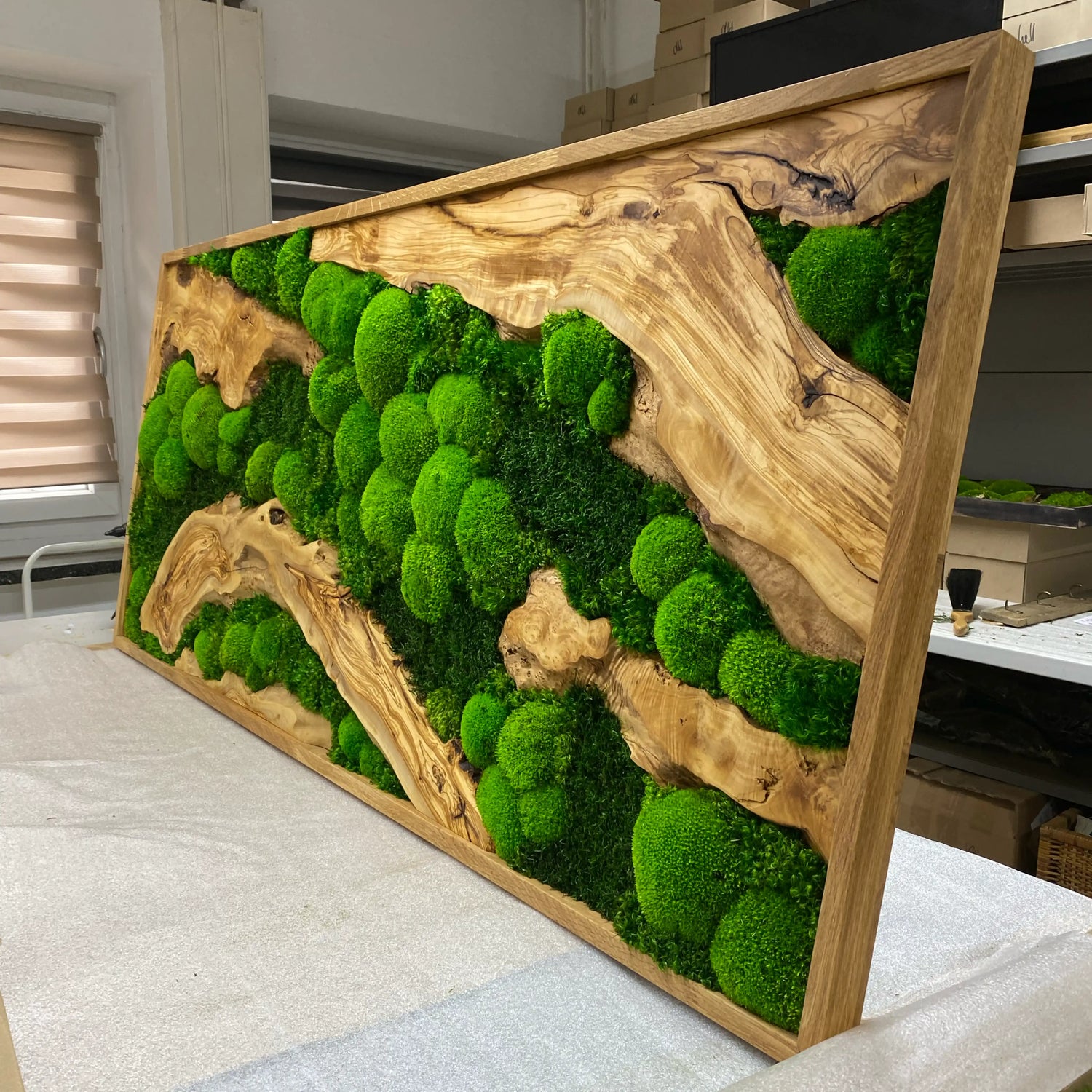 Moosbild-Sonderanfertigung in einem Echtholzrahmen mit grünen Moosen und edlem Olivenholz. 