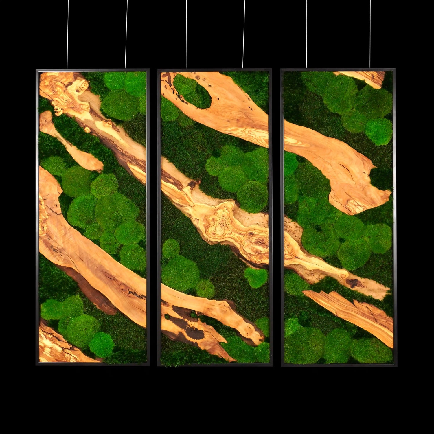 Dreiteiliges Moosbild „Olive Veins“ in schwarzen Aluminiumrahmen - eine hochwertige Wanddekoration aus echten Moosen und natürlichem Olivenholz für moderne Wohnräume - Frontansicht.