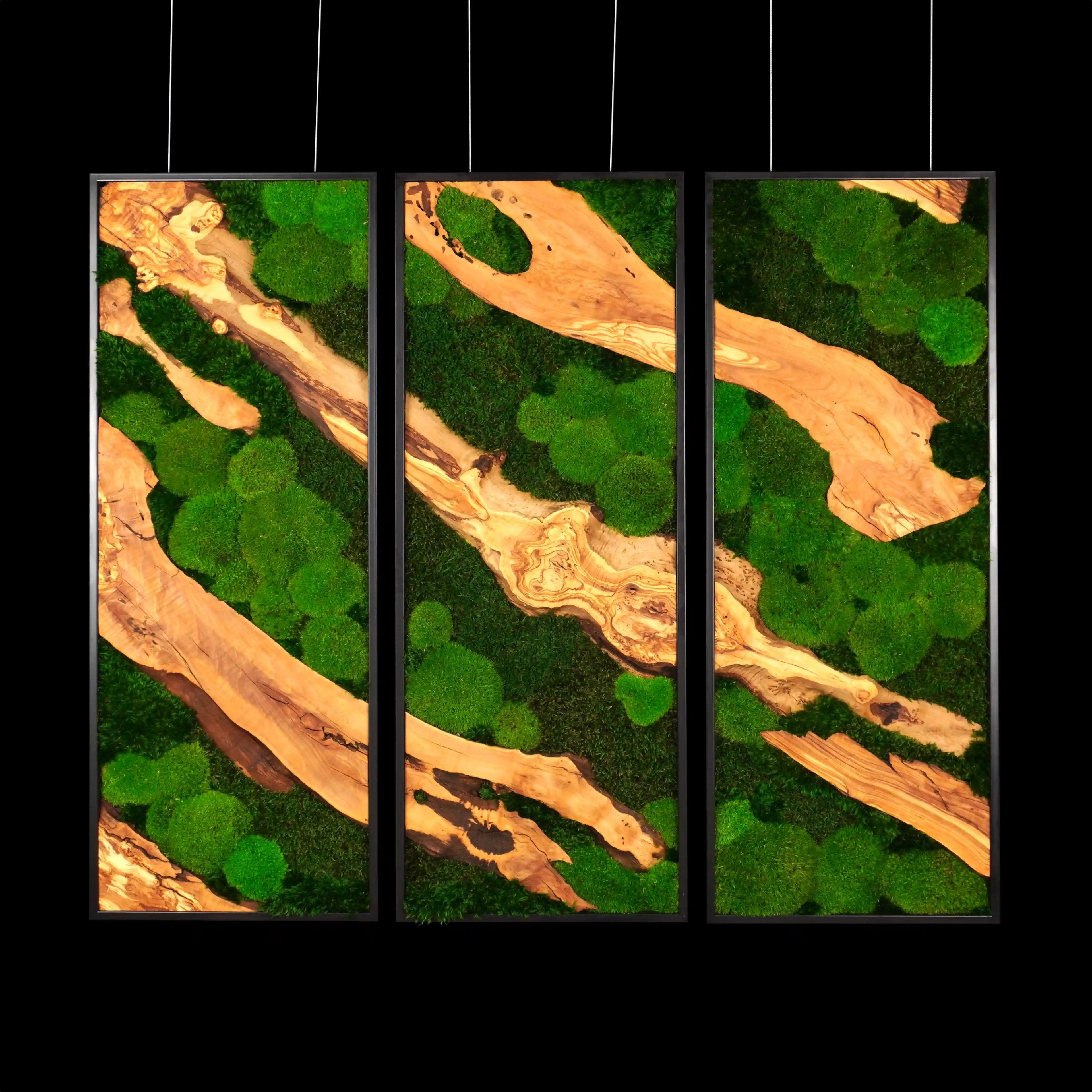 Dreiteiliges Moosbild „Olive Veins“ in schwarzen Aluminiumrahmen - eine hochwertige Wanddekoration aus echten Moosen und natürlichem Olivenholz für moderne Wohnräume - Frontansicht.