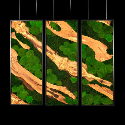 Dreiteiliges Moosbild „Olive Veins“ in schwarzen Aluminiumrahmen - eine hochwertige Wanddekoration aus echten Moosen und natürlichem Olivenholz für moderne Wohnräume - Frontansicht.