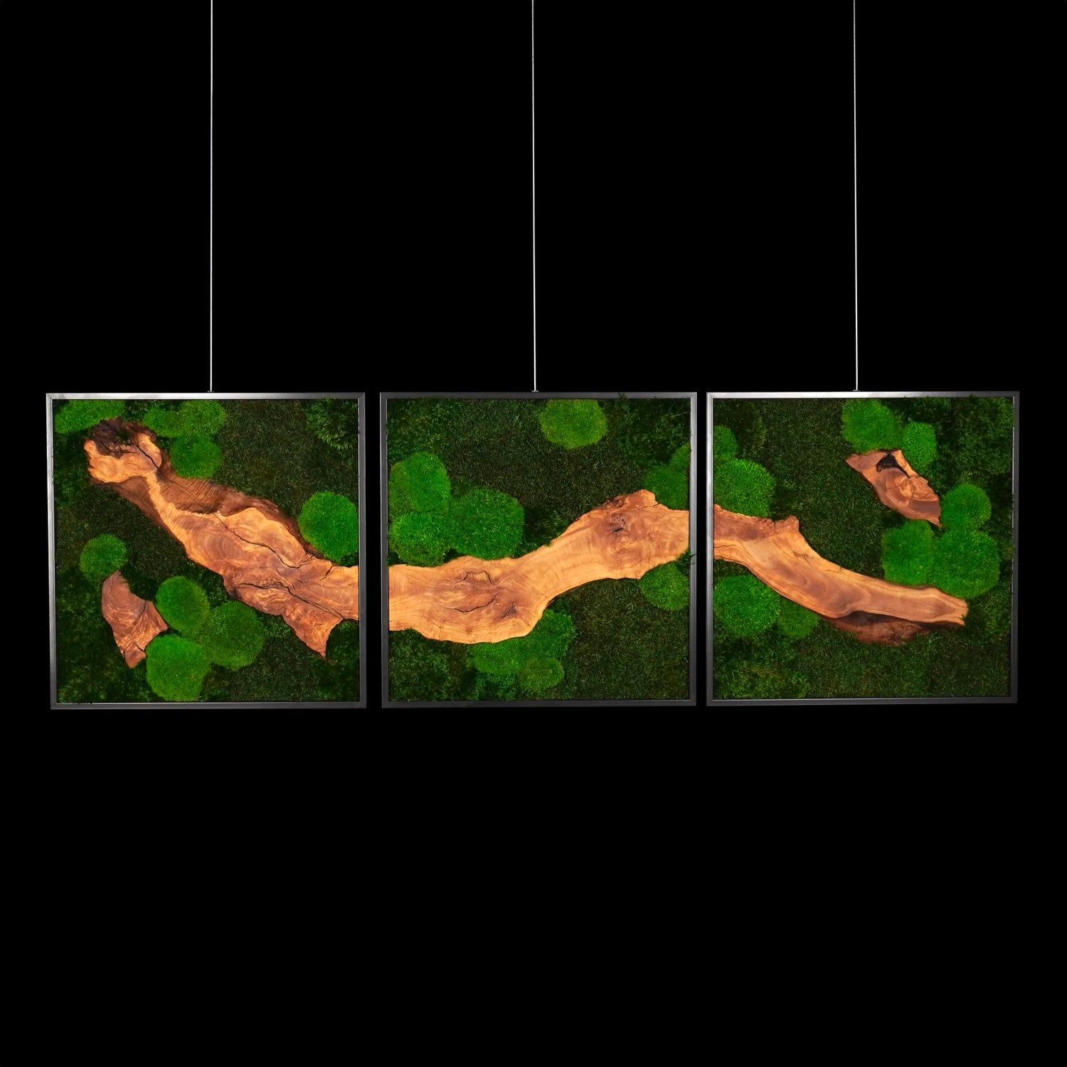 Dreiteiliges Moosbild „Olive Veins quadratisch“ in schwarzen Aluminiumrahmen - eine hochwertige Wanddekoration aus echten Moosen und natürlichen Olivenholz für moderne Wohnräume - Frontansicht.