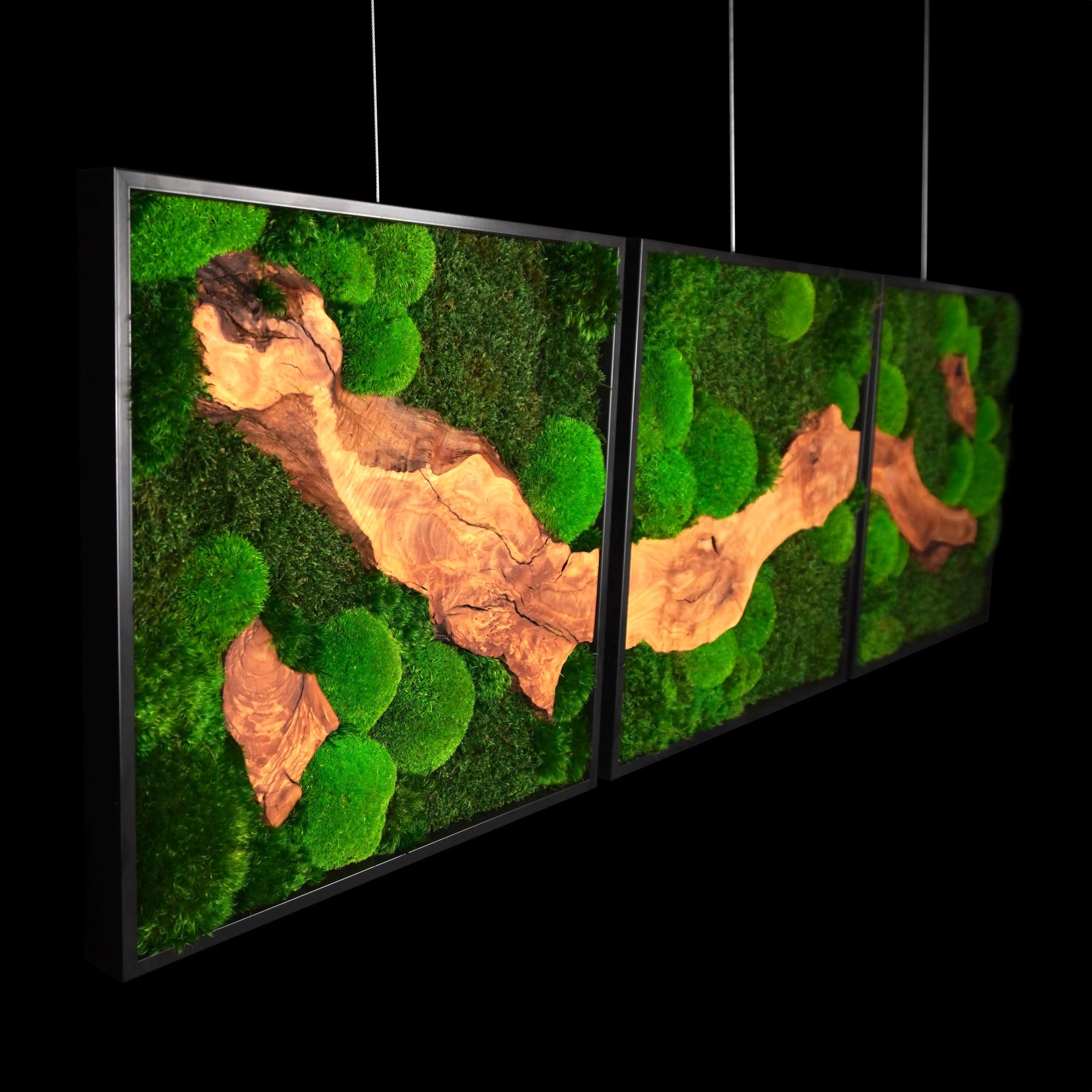 Dreiteiliges Moosbild „Olive Veins quadratisch“ in schwarzen Aluminiumrahmen - eine hochwertige Wanddekoration aus echten Moosen und natürlichen Olivenholz für moderne Wohnräume - Seitenansicht.