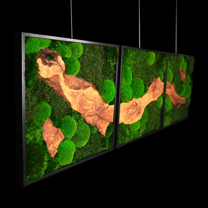 Dreiteiliges Moosbild „Olive Veins quadratisch“ in schwarzen Aluminiumrahmen - eine hochwertige Wanddekoration aus echten Moosen und natürlichen Olivenholz für moderne Wohnräume - Seitenansicht.