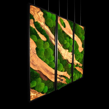 Dreiteiliges Moosbild „Olive Veins“ in schwarzen Aluminiumrahmen - eine hochwertige Wanddekoration aus echten Moosen und natürlichem Olivenholz für moderne Wohnräume - Seitenansicht.